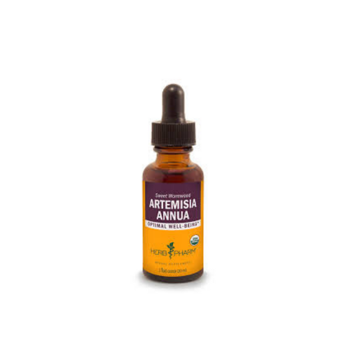 Artemisia Annua (Sweet Annie) Extract 1 oz by Herb Pharm