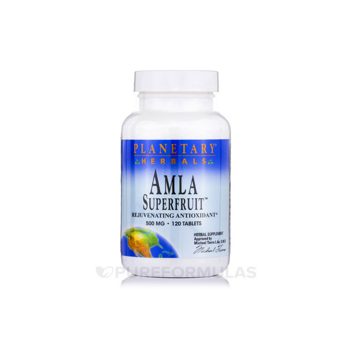 Amla Superfruit 500mg 240 Tablets by Planetary Herbals