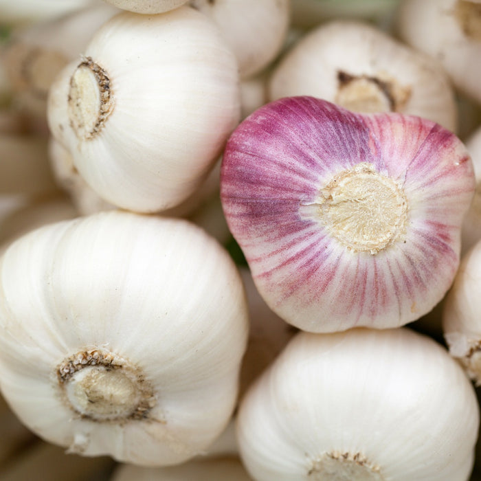 The Top 3 Health Benefits of Garlic