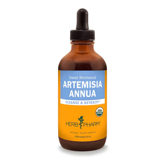Artemisia Annua (Sweet Annie) Extract 4 oz by Herb Pharm