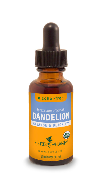 Dandelion Glycerite 4 oz by Herb Pharm
