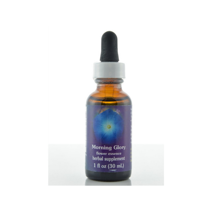 Morning Glory Dropper 1 oz by Flower Essence Services