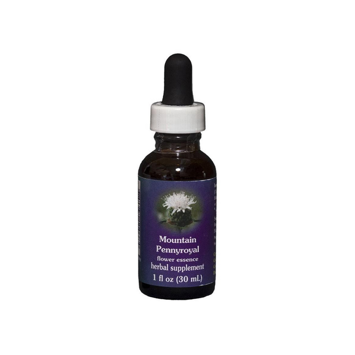 Mountain Pennyroyal Dropper 1 oz by Flower Essence Services