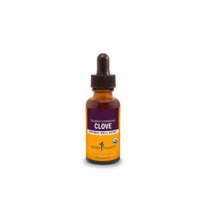 Clove Extract 1 oz by Herb Pharm