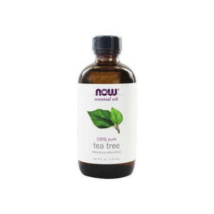 Tea Tree Oil 4 oz. by NOW Foods