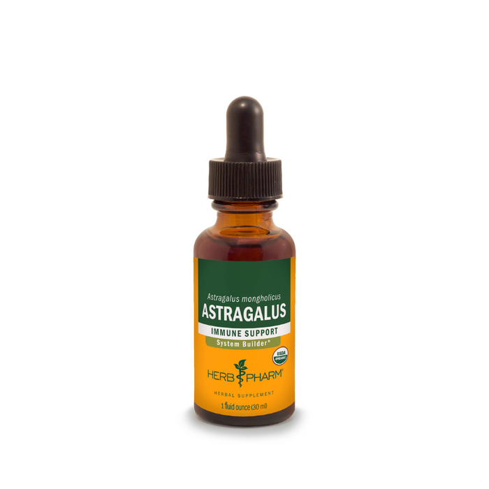 Astragalus Extract 4 oz by Herb Pharm