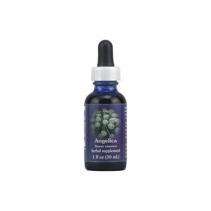 Angelica Dropper 1 oz by Flower Essence Services