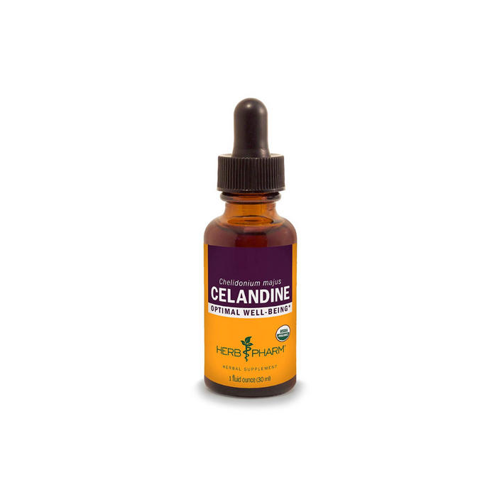 Celandine 1 oz by Herb Pharm
