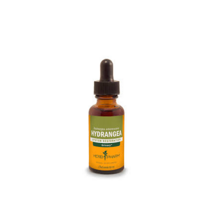Hydrangea Extract 4 oz by Herb Pharm