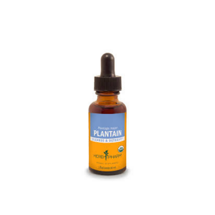 Plantain Extract 1 oz by Herb Pharm