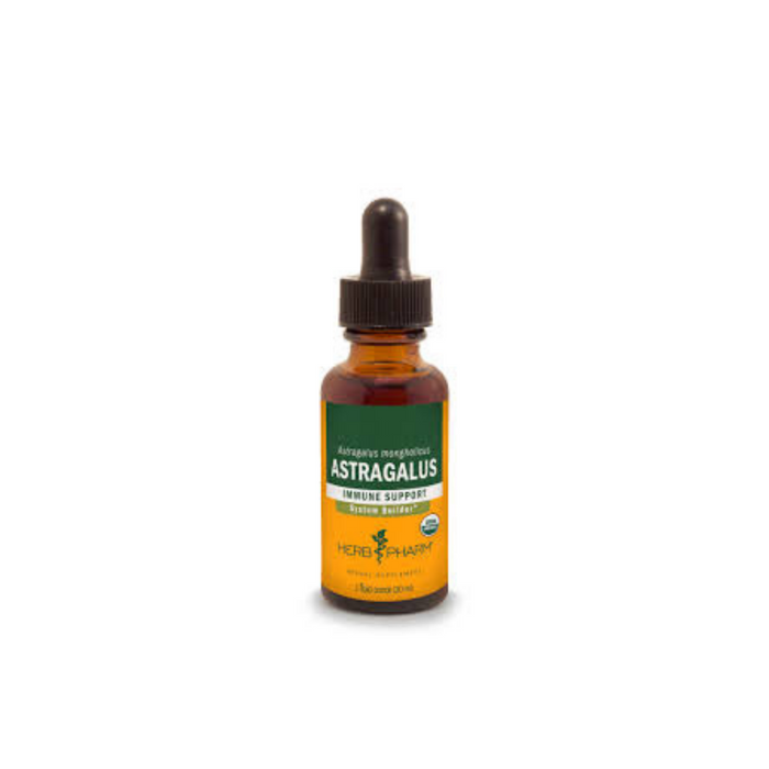 Astragalus Extract 1 oz by Herb Pharm