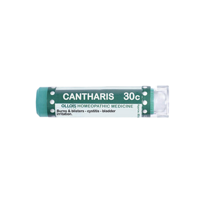 Cantharis 30c 80 plts by Ollois