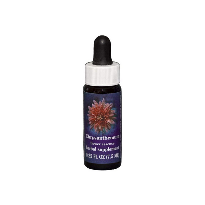 Chrysanthemum Dropper 0.25 oz by Flower Essence Services
