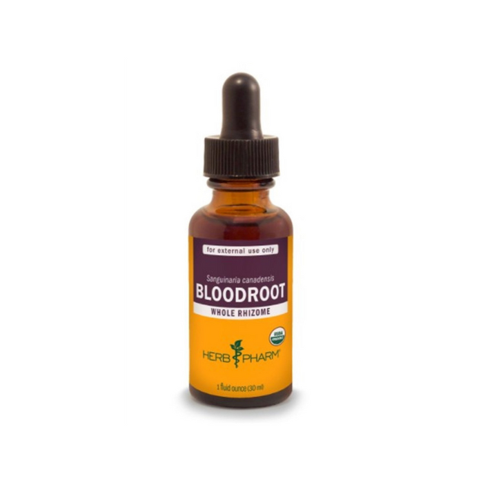 Bloodroot Extract 1 oz by Herb Pharm