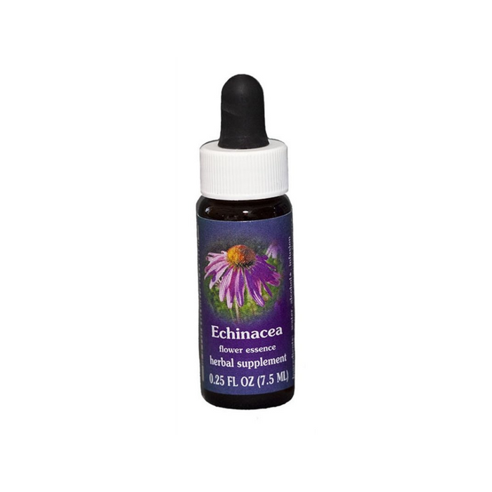Echinacea Dropper 0.25 oz by Flower Essence Services
