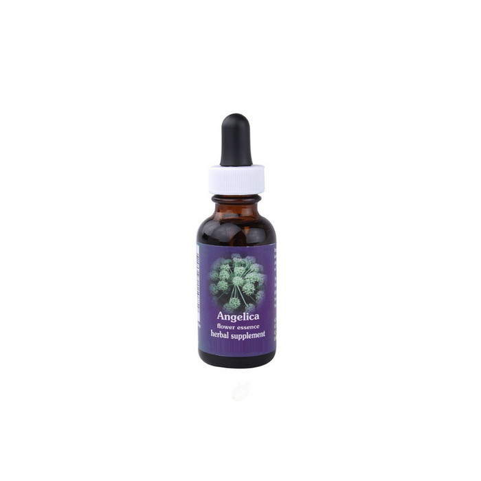 Angelica Dropper 0.25 oz by Flower Essence Services